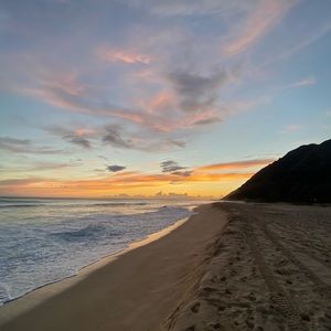 Meet your Posher, Noah